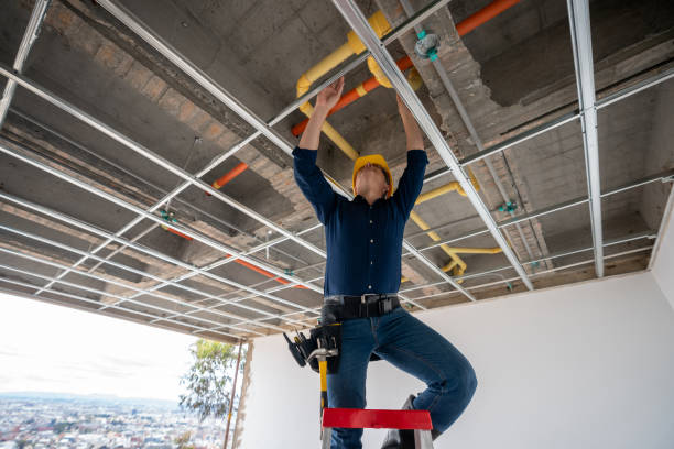 Best Commercial Plumbing Services  in San Felipe, TX