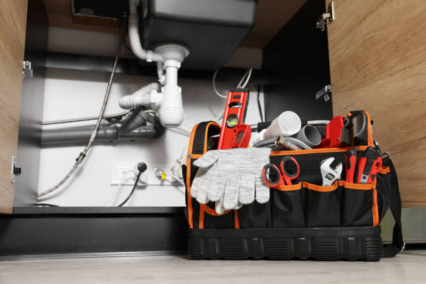 Best Plumbing Inspection Services  in San Felipe, TX
