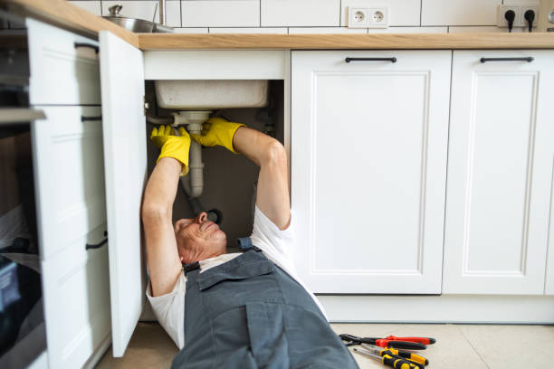 Best Plumbing Services Near Me  in San Felipe, TX